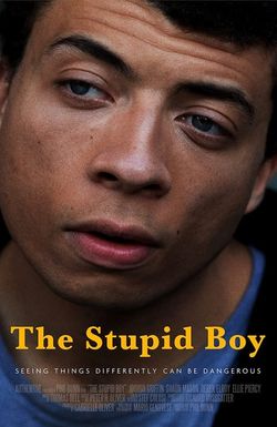 The Stupid Boy