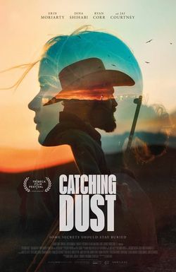 Catching Dust