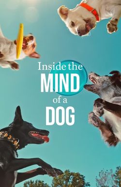 Inside the Mind of a Dog