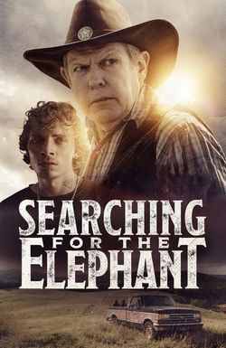 Searching for the Elephant