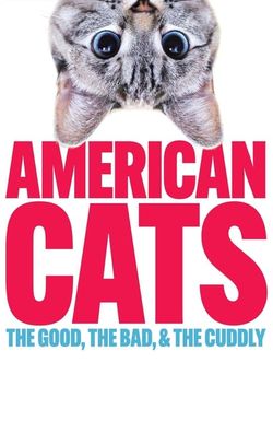 American Cats: The Good, the Bad, and the Cuddly