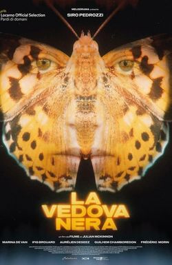 La Vedova Nera