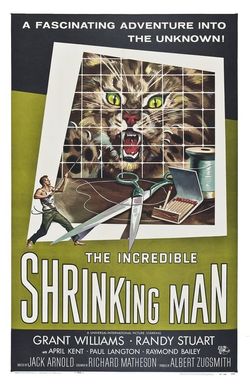 The Incredible Shrinking Man