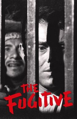 The Fugitive