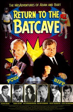 Return to the Batcave: The Misadventures of Adam and Burt