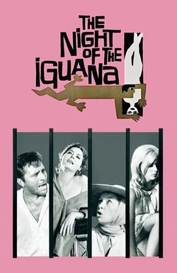 The Night of the Iguana