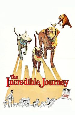 The Incredible Journey