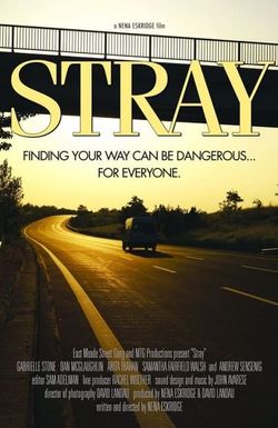 Stray