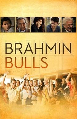 Brahmin Bulls