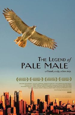 The Legend of Pale Male