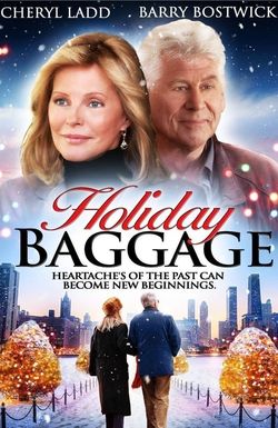 Holiday Baggage