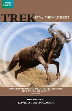 Trek: Spy on the Wildebeest