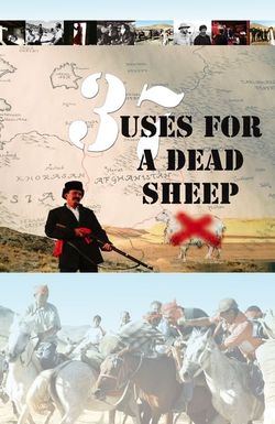 37 Uses for a Dead Sheep