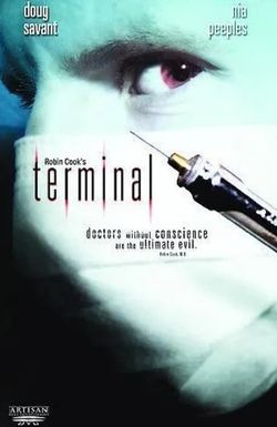 Terminal