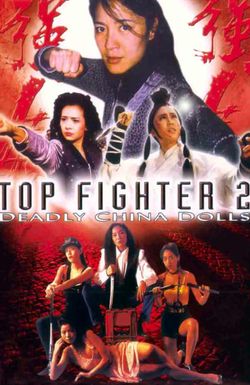 Top Fighter 2