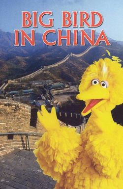 Big Bird in China