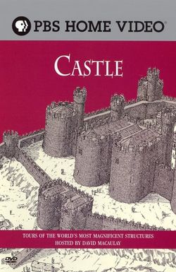 David Macaulay: Castle