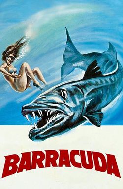 Barracuda