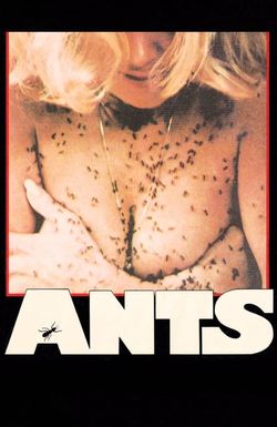 Ants!