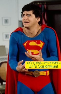 It's a Bird... It's a Plane... It's Superman!