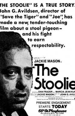 The Stoolie