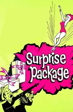 Surprise Package