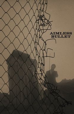 Aimless Bullet