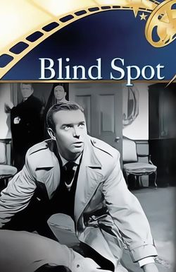 Blind Spot