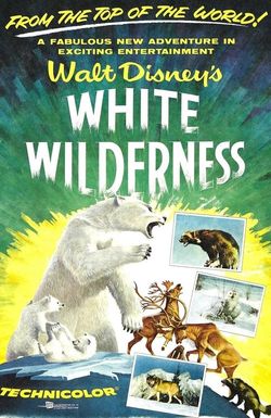 White Wilderness