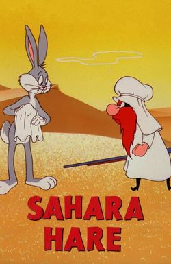 Sahara Hare