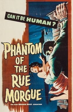 Phantom of the Rue Morgue