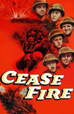 Cease Fire!