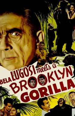 Bela Lugosi Meets a Brooklyn Gorilla