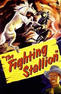 The Fighting Stallion