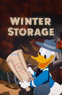 Winter Storage