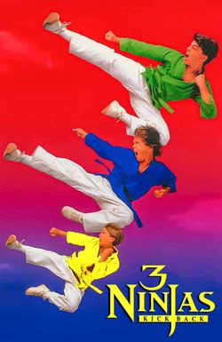 3 Ninjas Kick Back