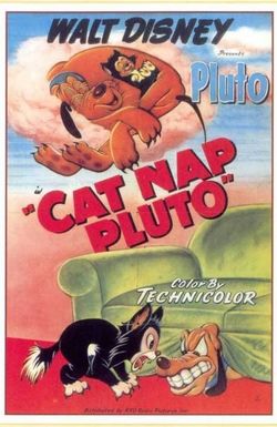 Cat Nap Pluto