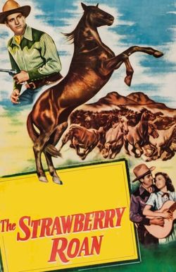 The Strawberry Roan