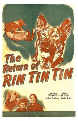 The Return of Rin Tin Tin