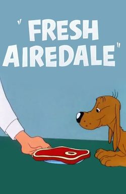 Fresh Airedale