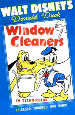 Window Cleaners