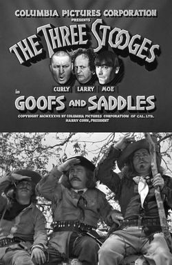 Goofs and Saddles