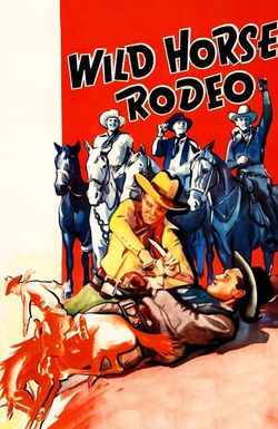 Wild Horse Rodeo