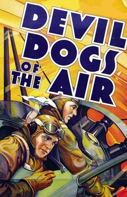 Devil Dogs of the Air