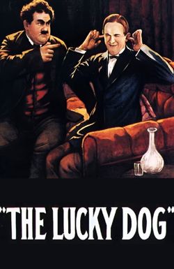 The Lucky Dog