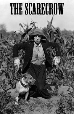 The Scarecrow