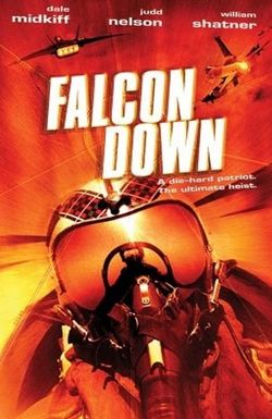 Falcon Down