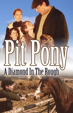 Pit Pony