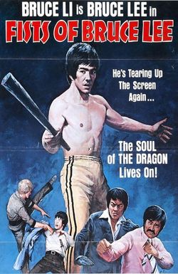 Fists of Bruce Lee