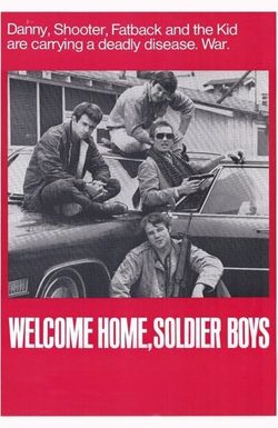 Welcome Home Soldier Boys